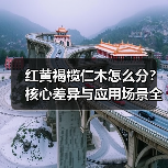 红黄褐榄仁木怎么分?核心差异与应用场景全解析(图1) 红黄褐榄仁木怎么分?核心差异与应用场景全解析(图1)