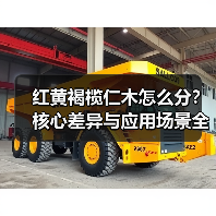 红黄褐榄仁木怎么分?核心差异与应用场景全解析(图3) 红黄褐榄仁木怎么分?核心差异与应用场景全解析(图3)