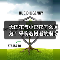 大巴花与小巴花怎么区分?采购选材避坑指南(图3) 大巴花与小巴花怎么区分?采购选材避坑指南(图3)