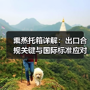 熏蒸托箱详解:出口合规关键与国际标准应对策略(图3) 熏蒸托箱详解:出口合规关键与国际标准应对策略(图3)