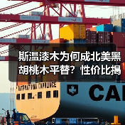 斯温漆木为何成北美黑胡桃木平替?性价比揭秘(图4) 斯温漆木为何成北美黑胡桃木平替?性价比揭秘(图4)
