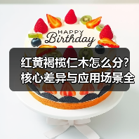 红黄褐榄仁木怎么分?核心差异与应用场景全解析(图2) 红黄褐榄仁木怎么分?核心差异与应用场景全解析(图2)