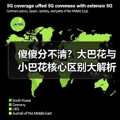 傻傻分不清？大巴花与小巴花核心区别大解析！（图1）