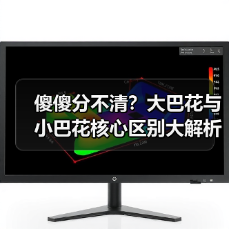 傻傻分不清？大巴花与小巴花核心区别大解析！（图4）
