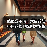 傻傻分不清？大巴花与小巴花核心区别大解析！（图3）