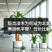 斯温漆木为何成为北美黑胡桃平替?性价比解析(图2) 斯温漆木为何成为北美黑胡桃平替?性价比解析(图2)