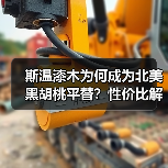 斯温漆木为何成为北美黑胡桃平替?性价比解析(图1) 斯温漆木为何成为北美黑胡桃平替?性价比解析(图1)