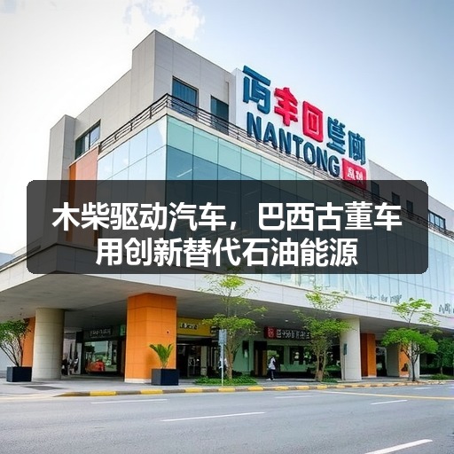 木柴驱动汽车,巴西古董车用创新替代石油能源(图2) 木柴驱动汽车,巴西古董车用创新替代石油能源(图2)