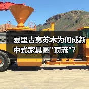 爱里古夷苏木为何成新中式家具圈