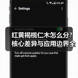 红黄褐榄仁木怎么分？核心差异与应用边界全解析（图2）
