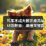 风车木成大板茶桌高端材质新宠：黑檀平替真相解析（图1）