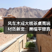 风车木成大板茶桌高端材质新宠：黑檀平替真相解析（图3）