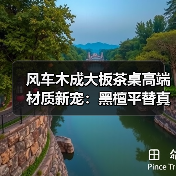 风车木成大板茶桌高端材质新宠：黑檀平替真相解析（图4）