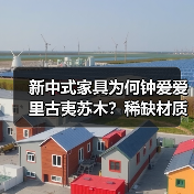 新中式家具为何钟爱爱里古夷苏木？稀缺材质的硬核优势解析（图4）
