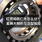 红黄褐榄仁木怎么分?差异大解析与选型指南(图1) 红黄褐榄仁木怎么分?差异大解析与选型指南(图1)