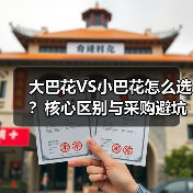 大巴花VS小巴花怎么选?核心区别与采购避坑指南(图1) 大巴花VS小巴花怎么选?核心区别与采购避坑指南(图1)