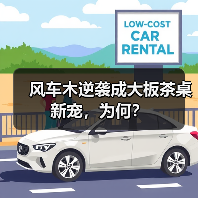 风车木逆袭成大板茶桌新宠,为何?(图4) 风车木逆袭成大板茶桌新宠,为何?(图4)