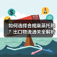 如何选择合规熏蒸托箱?出口物流通关全解析(图1) 如何选择合规熏蒸托箱?出口物流通关全解析(图1)