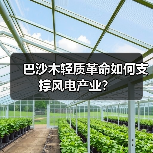 巴沙木轻质革命如何支撑风电产业?(图1) 巴沙木轻质革命如何支撑风电产业?(图1)