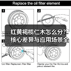 红黄褐榄仁木怎么分?核心差异与应用场景全解析(图2) 红黄褐榄仁木怎么分?核心差异与应用场景全解析(图2)