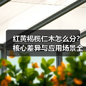 红黄褐榄仁木怎么分?核心差异与应用场景全解析(图4) 红黄褐榄仁木怎么分?核心差异与应用场景全解析(图4)