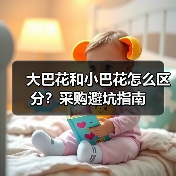 大巴花和小巴花怎么区分?采购避坑指南(图2) 大巴花和小巴花怎么区分?采购避坑指南(图2)