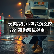 大巴花和小巴花怎么区分?采购避坑指南(图1) 大巴花和小巴花怎么区分?采购避坑指南(图1)