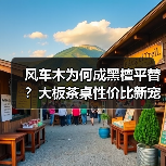 风车木为何成黑檀平替?大板茶桌性价比新宠(图2) 风车木为何成黑檀平替?大板茶桌性价比新宠(图2)