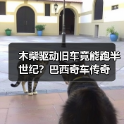 木柴驱动旧车竟能跑半世纪?巴西奇车传奇(图3) 木柴驱动旧车竟能跑半世纪?巴西奇车传奇(图3)