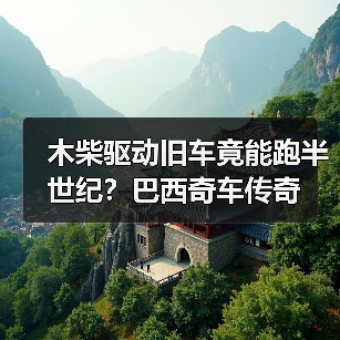 木柴驱动旧车竟能跑半世纪?巴西奇车传奇(图4) 木柴驱动旧车竟能跑半世纪?巴西奇车传奇(图4)