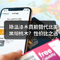 斯温漆木真能替代北美黑胡桃木？性价比之选大揭秘（图4）