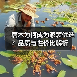 唐木为何成为家装优选?品质与性价比解析(图3) 唐木为何成为家装优选?品质与性价比解析(图3)