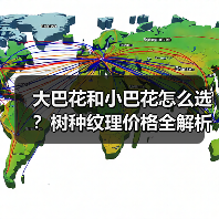 大巴花和小巴花怎么选?树种纹理价格全解析(图1) 大巴花和小巴花怎么选?树种纹理价格全解析(图1)