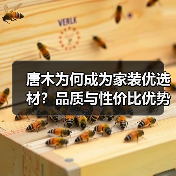 唐木为何成为家装优选材？品质与性价比优势全解析（图1）