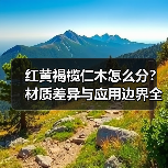 红黄褐榄仁木怎么分?材质差异与应用边界全解析(图1) 红黄褐榄仁木怎么分?材质差异与应用边界全解析(图1)