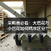 采购者必看:大巴花与小巴花如何精准区分?(图2) 采购者必看:大巴花与小巴花如何精准区分?(图2)