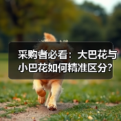 采购者必看:大巴花与小巴花如何精准区分?(图1) 采购者必看:大巴花与小巴花如何精准区分?(图1)