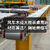 风车木成大板茶桌高端材质首选？揭秘黑檀平替背后真相（图2）