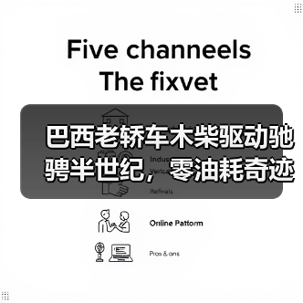 巴西老轿车木柴驱动驰骋半世纪，零油耗奇迹如何诞生？（图4）