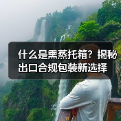 什么是熏蒸托箱？揭秘出口合规包装新选择（图2）