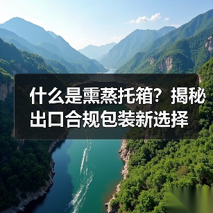 什么是熏蒸托箱？揭秘出口合规包装新选择（图3）