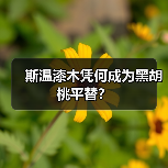 斯温漆木凭何成为黑胡桃平替？（图1）