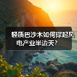 轻质巴沙木如何撑起风电产业半边天？（图4）