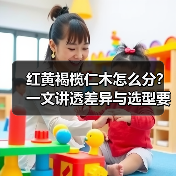 红黄褐榄仁木怎么分？一文讲透差异与选型要点（图3）