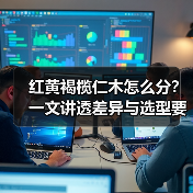 红黄褐榄仁木怎么分？一文讲透差异与选型要点（图4）
