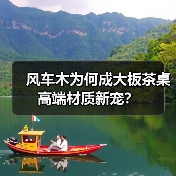 风车木为何成大板茶桌高端材质新宠？（图1）