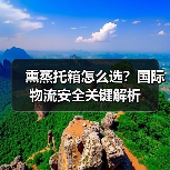 熏蒸托箱怎么选？国际物流安全关键解析（图3）