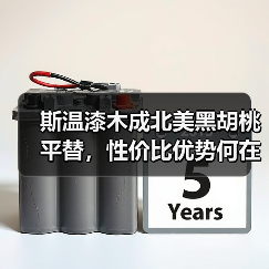 斯温漆木成北美黑胡桃平替，性价比优势何在？（图1）