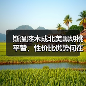 斯温漆木成北美黑胡桃平替，性价比优势何在？（图4）