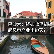 巴沙木：轻如鸿毛却撑起风电产业半边天？（图4）